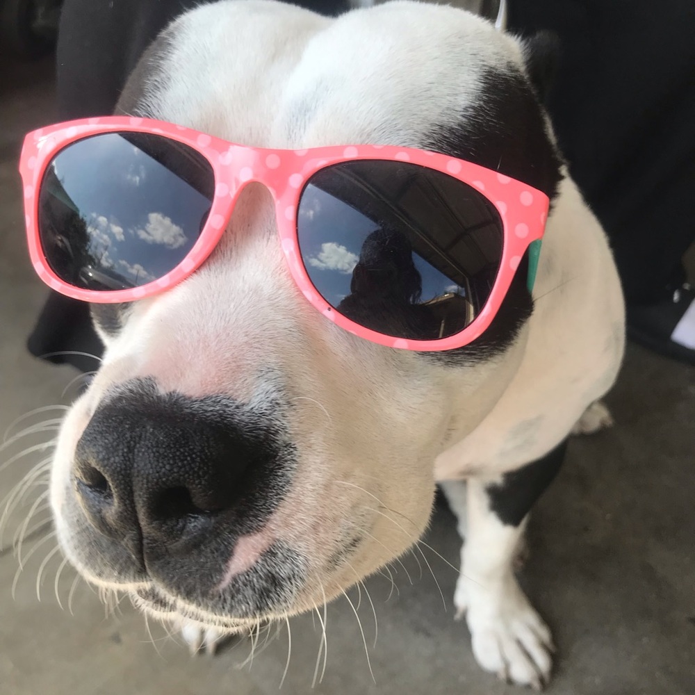 Meet your Posher, Kayla